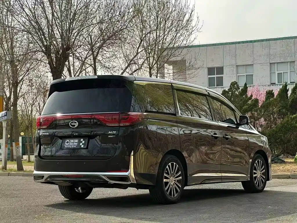 GAC Motor Trumpchi M8 — фото 13
