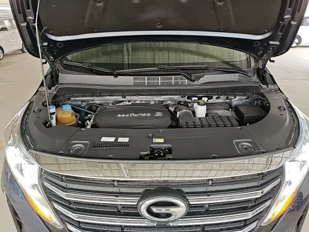 GAC Motor Trumpchi M8 — фото 20