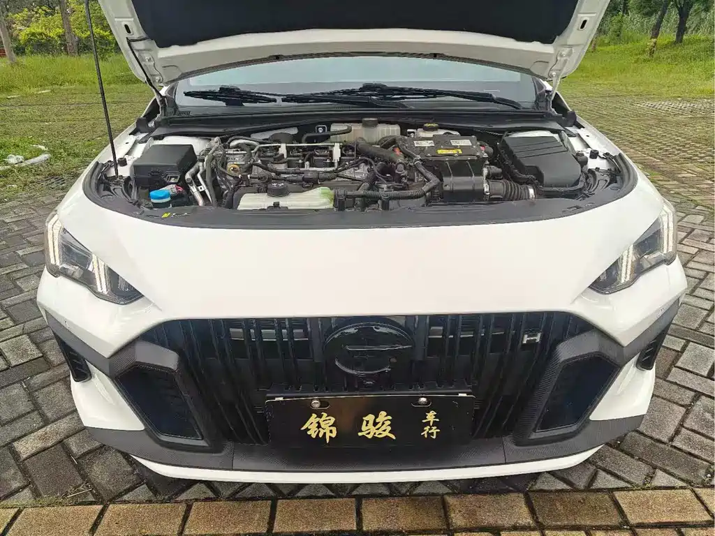 GAC Motor Shadow Leopard — фото 16