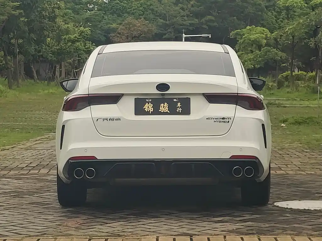 GAC Motor Shadow Leopard — фото 5