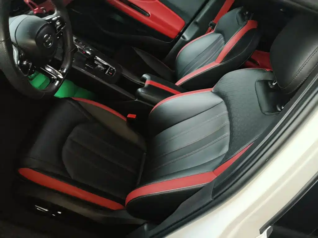 GAC Motor Shadow Leopard — фото 15