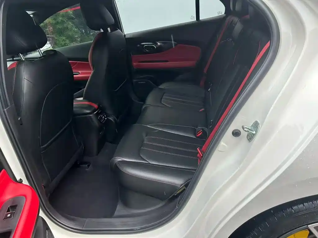 GAC Motor Shadow Leopard — фото 17