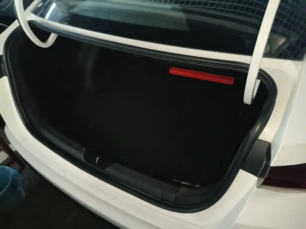 GAC Motor Shadow Leopard — фото 19