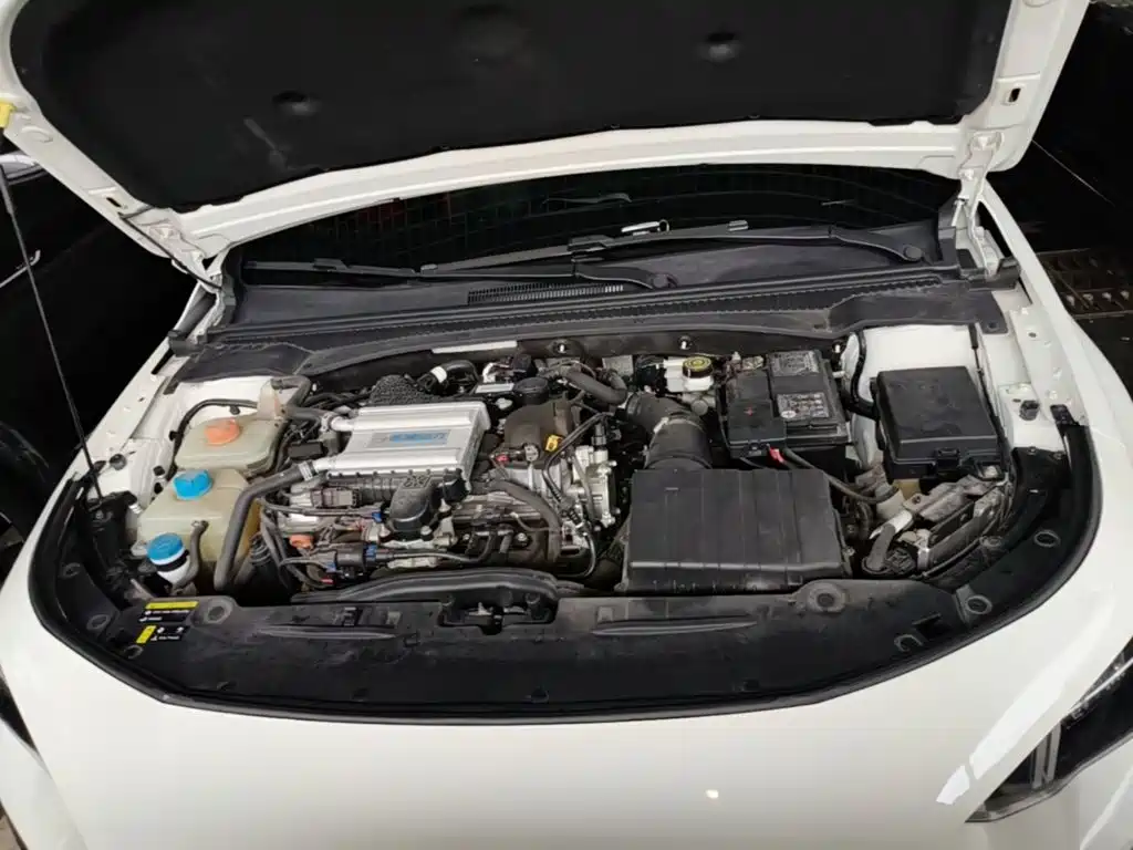 GAC Motor Shadow Leopard — фото 20