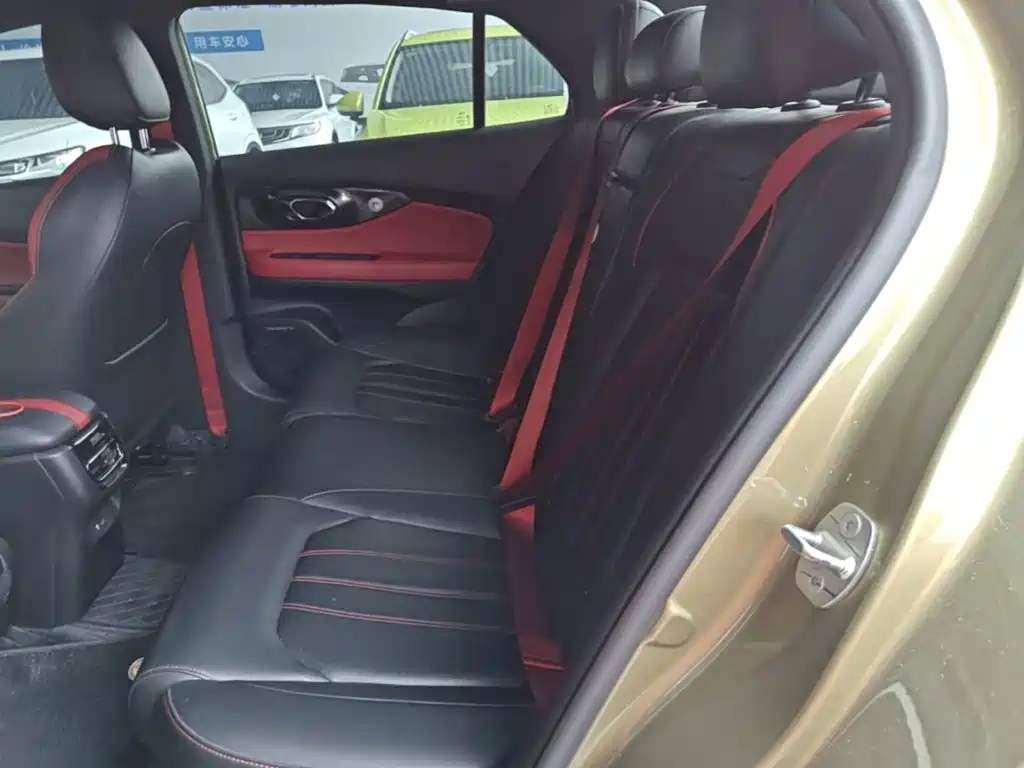 GAC Motor Shadow Leopard — фото 17