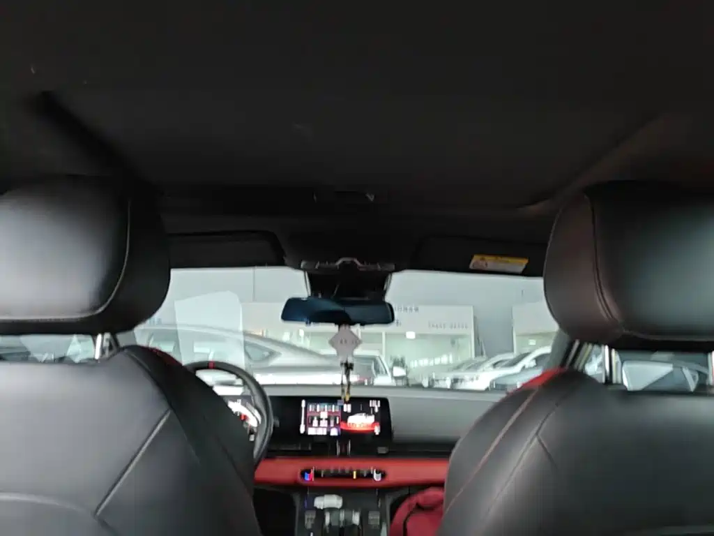 GAC Motor Shadow Leopard — фото 18