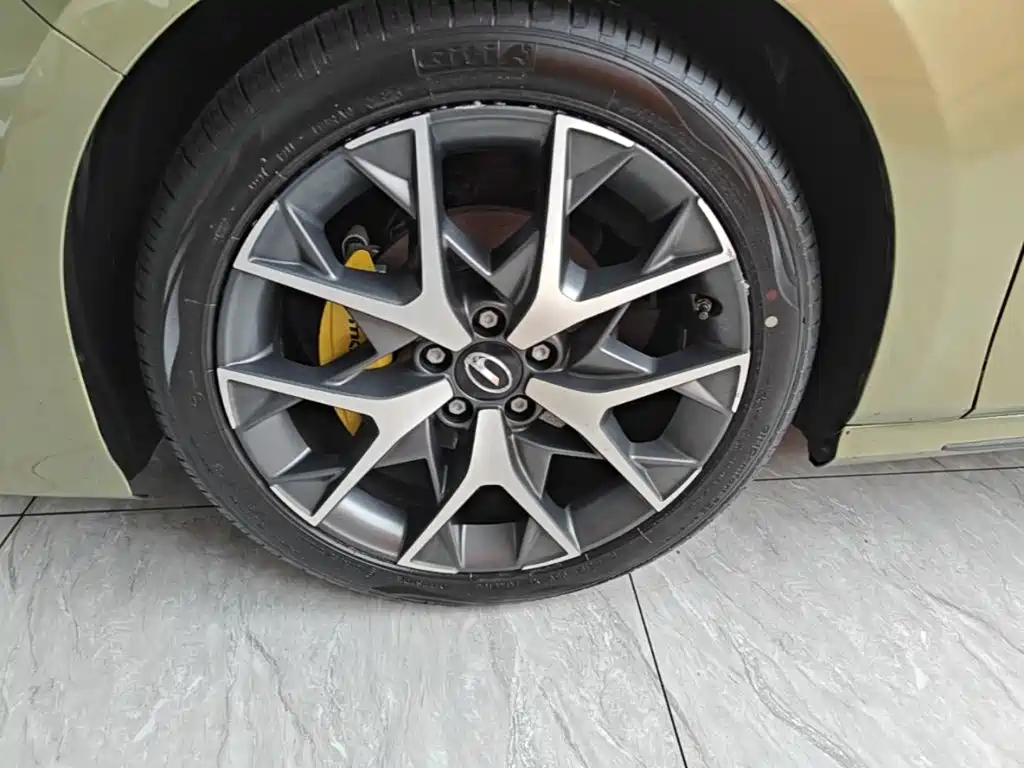 GAC Motor Shadow Leopard — фото 23