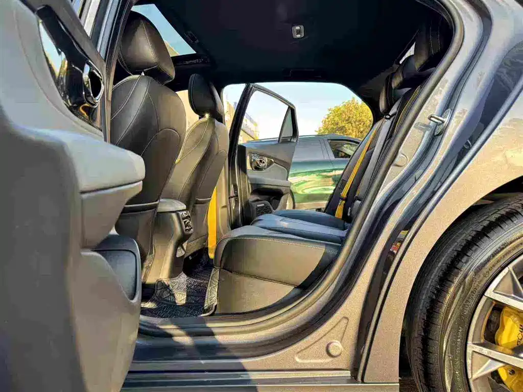 GAC Motor Shadow Leopard — фото 14