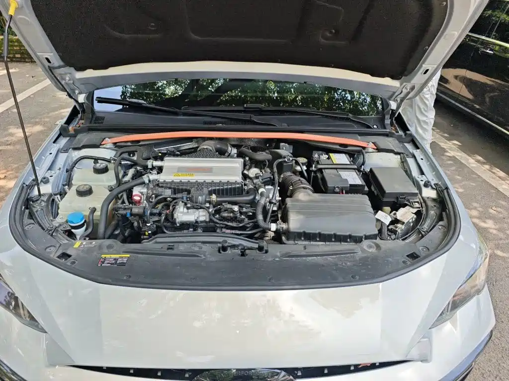 GAC Motor Shadow Leopard — фото 11