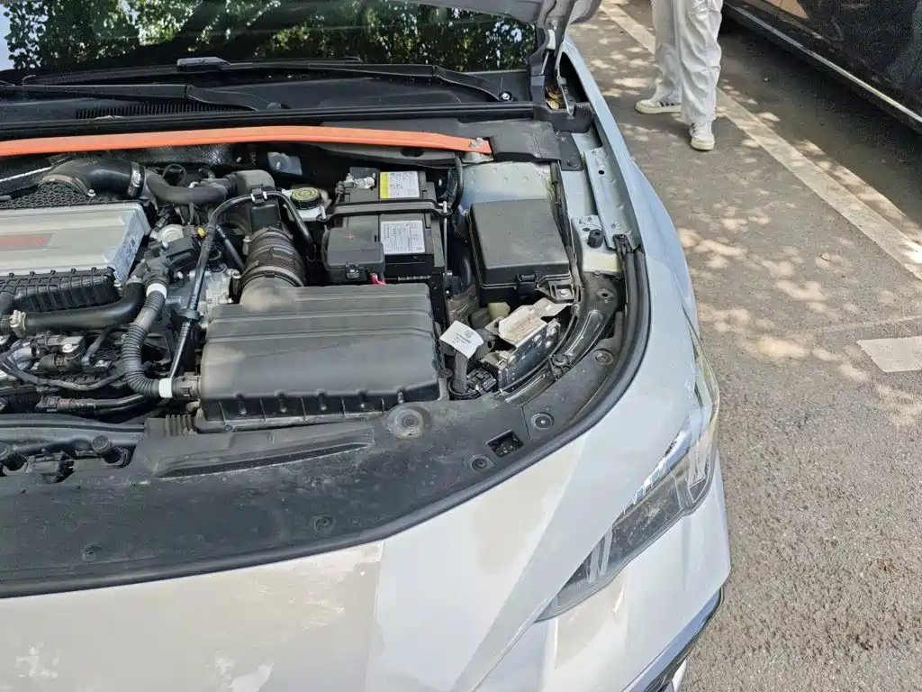 GAC Motor Shadow Leopard — фото 22