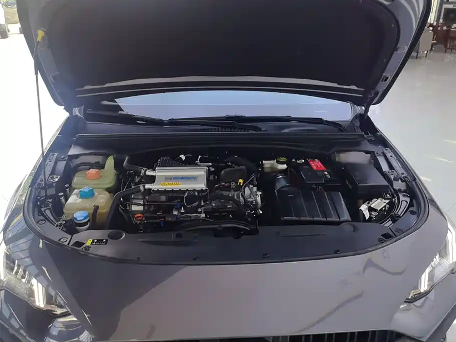 GAC Motor Shadow Leopard — фото 10