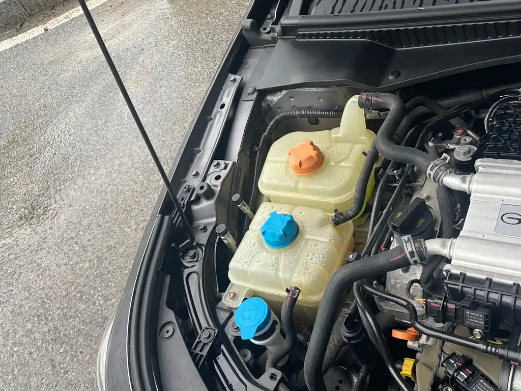 GAC Motor Shadow Leopard — фото 19