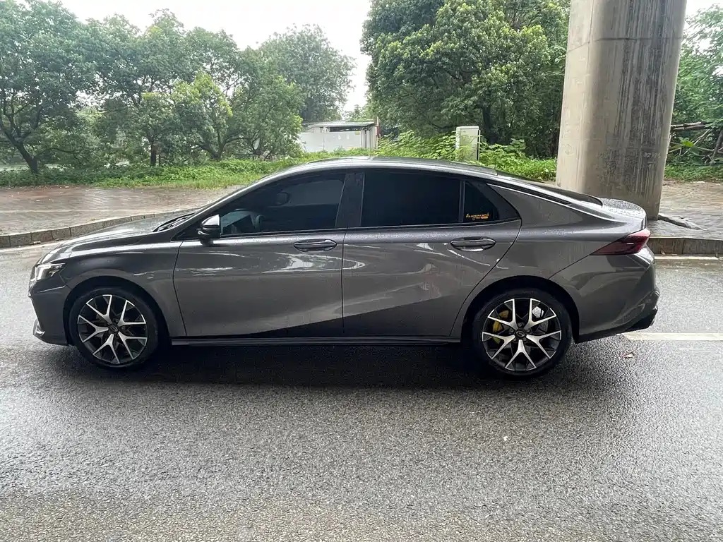 GAC Motor Shadow Leopard — фото 9