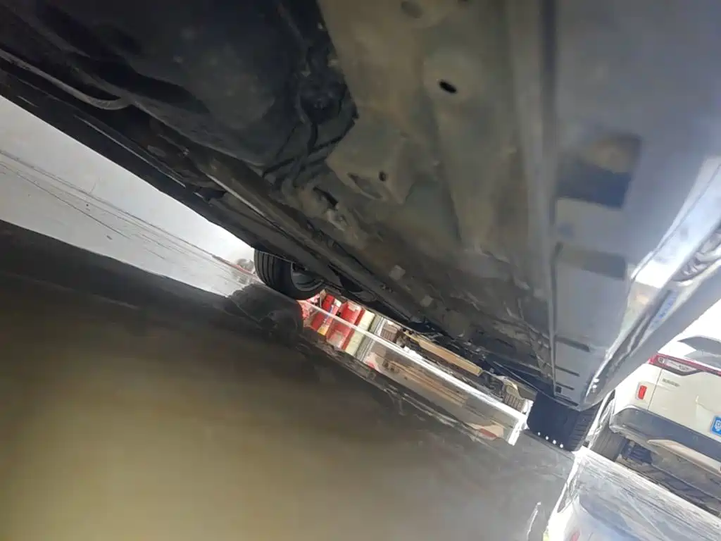 GAC Motor Shadow Leopard — фото 21