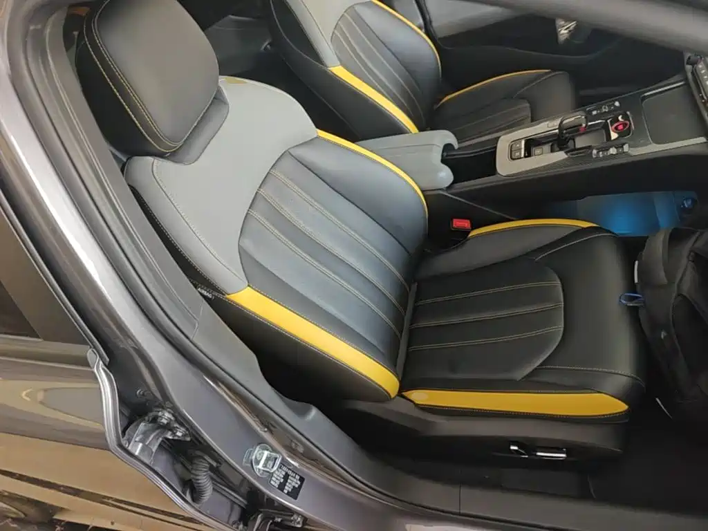 GAC Motor Shadow Leopard — фото 25