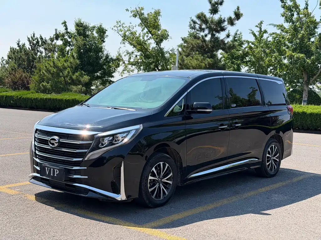 GAC Motor Trumpchi M8 — фото 3