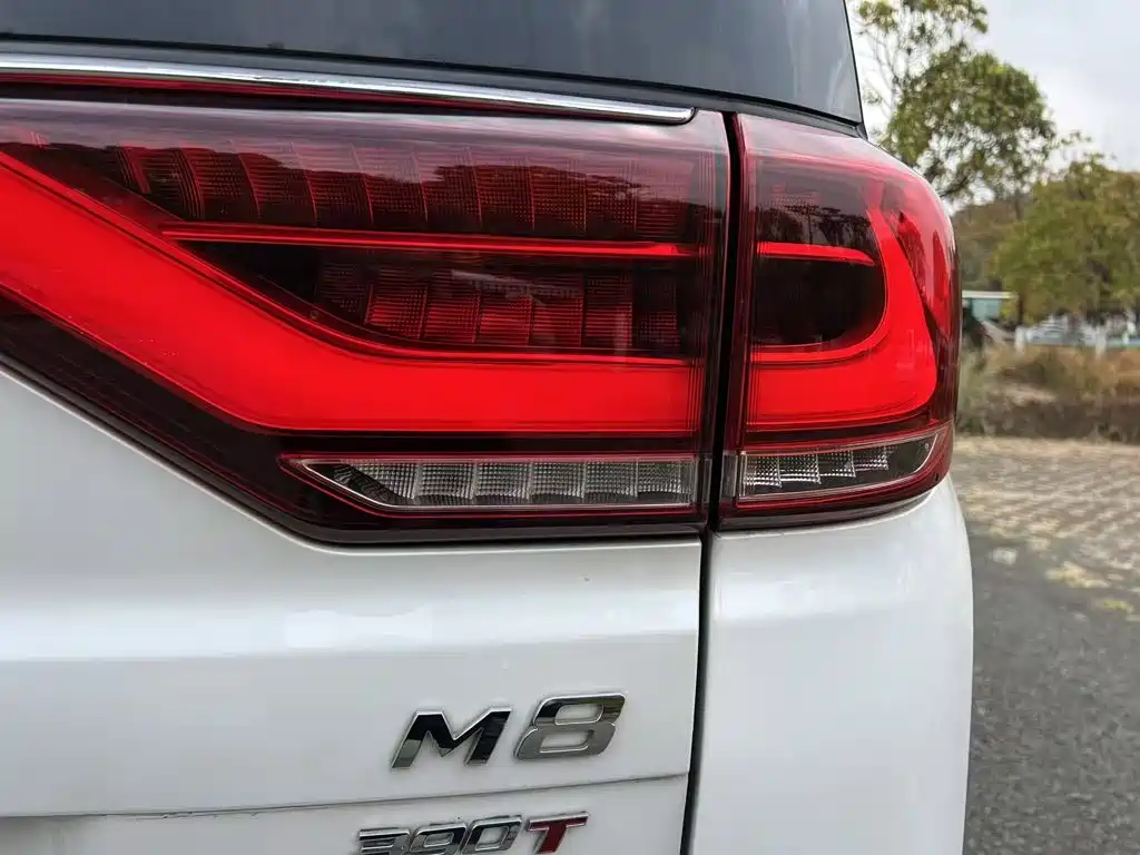 GAC Motor Trumpchi M8 — фото 18