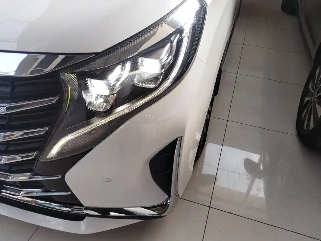 GAC Motor Trumpchi M8 — фото 21