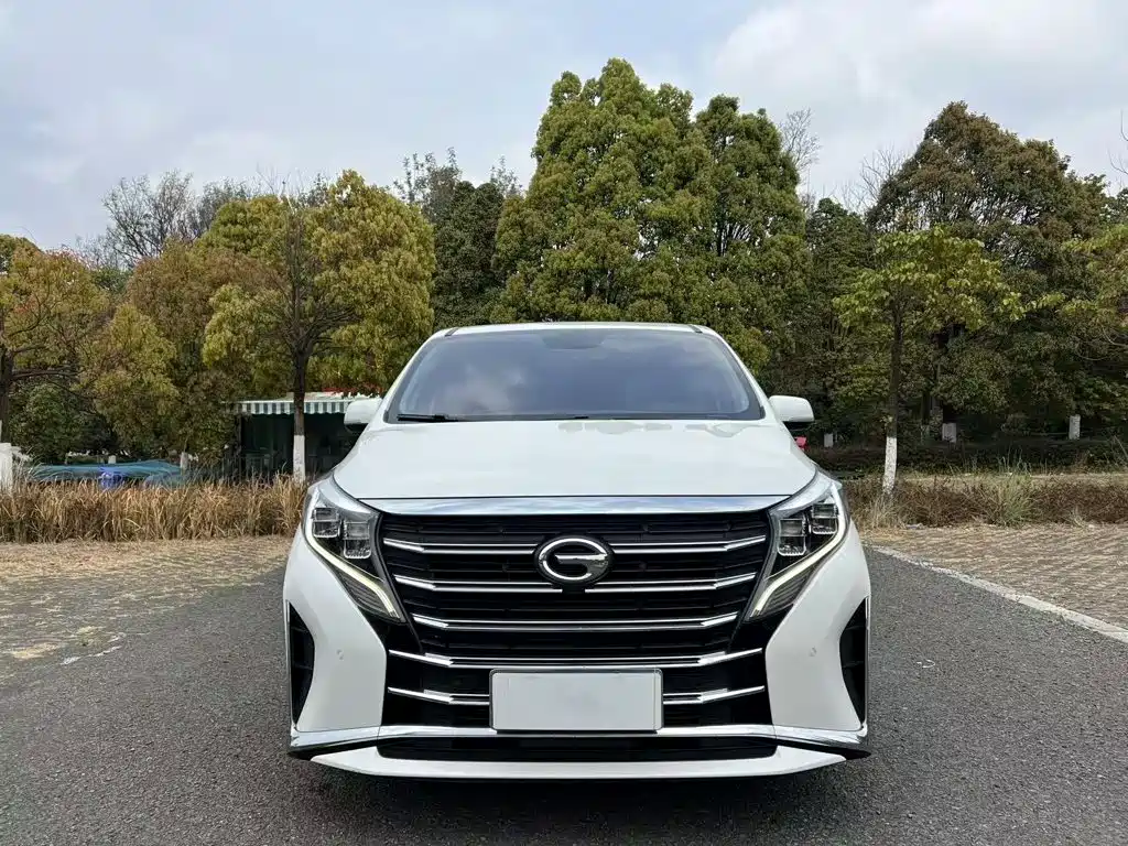 GAC Motor Trumpchi M8 — фото 25