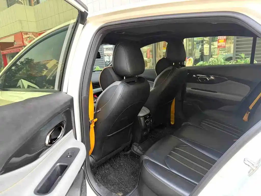 GAC Motor Shadow Leopard — фото 6