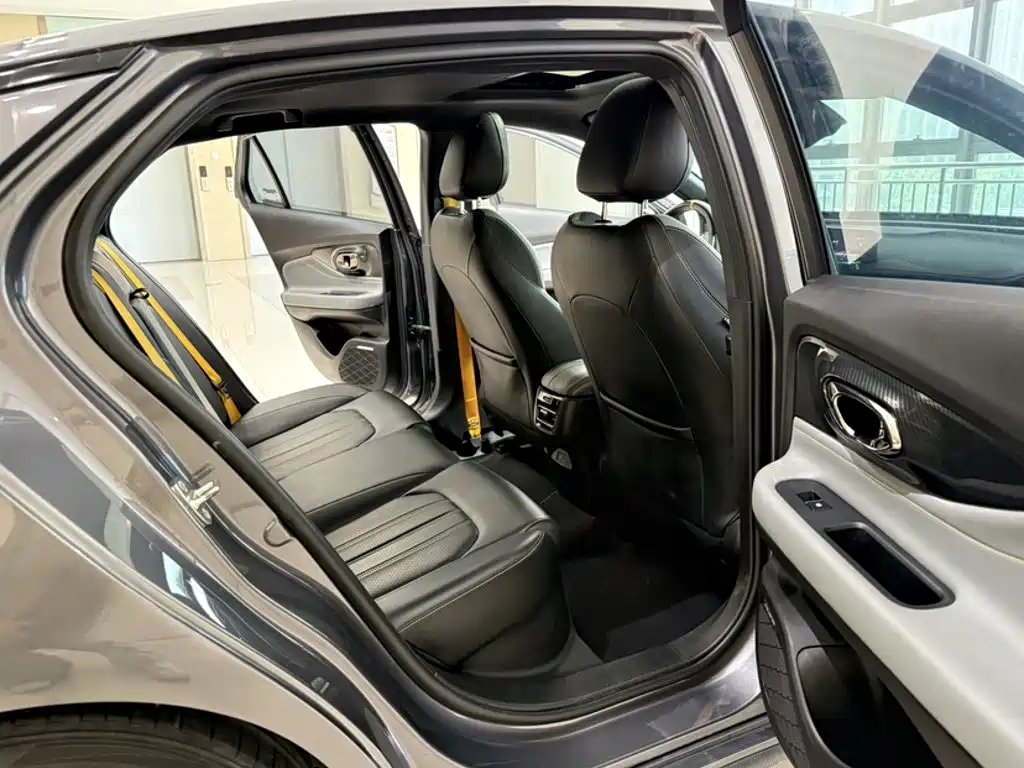GAC Motor Shadow Leopard — фото 19