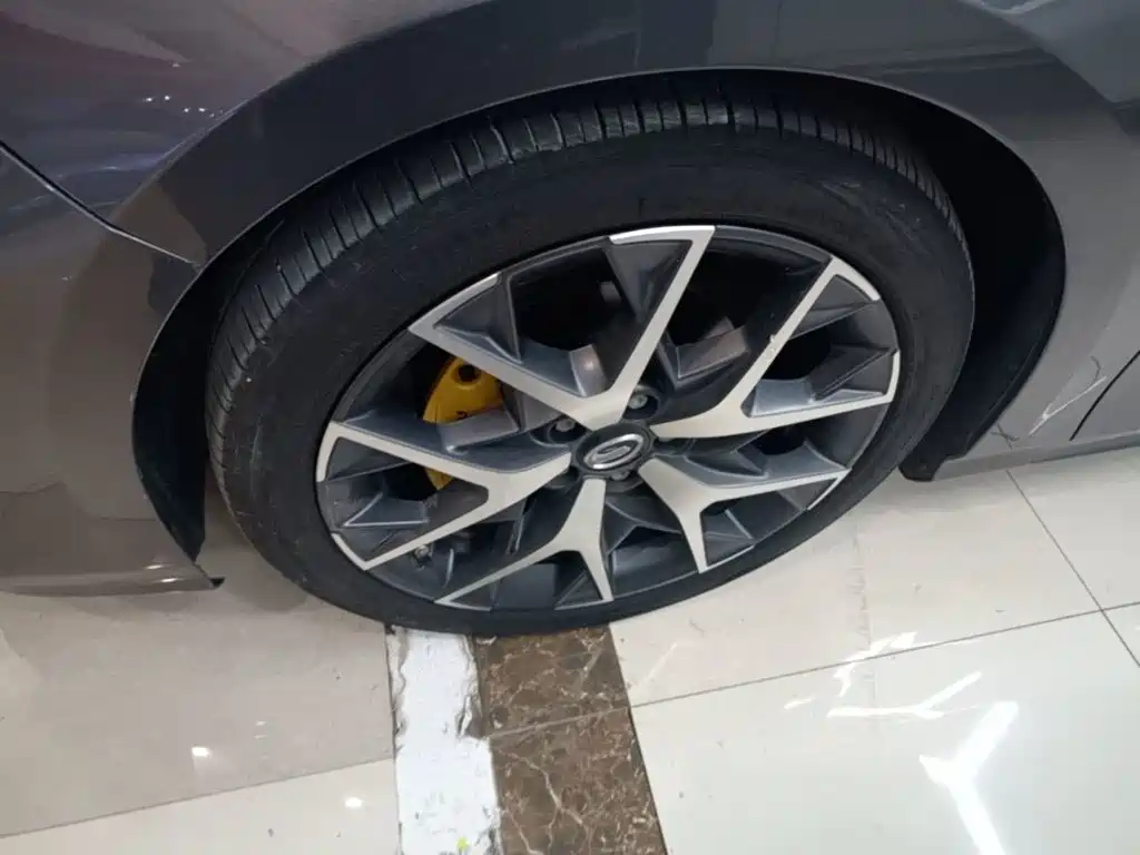 GAC Motor Shadow Leopard — фото 24