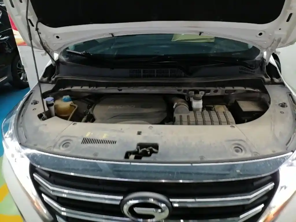 GAC Motor Trumpchi M8 — фото 20