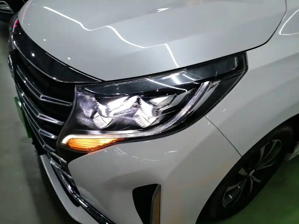GAC Motor Trumpchi M8 — фото 24