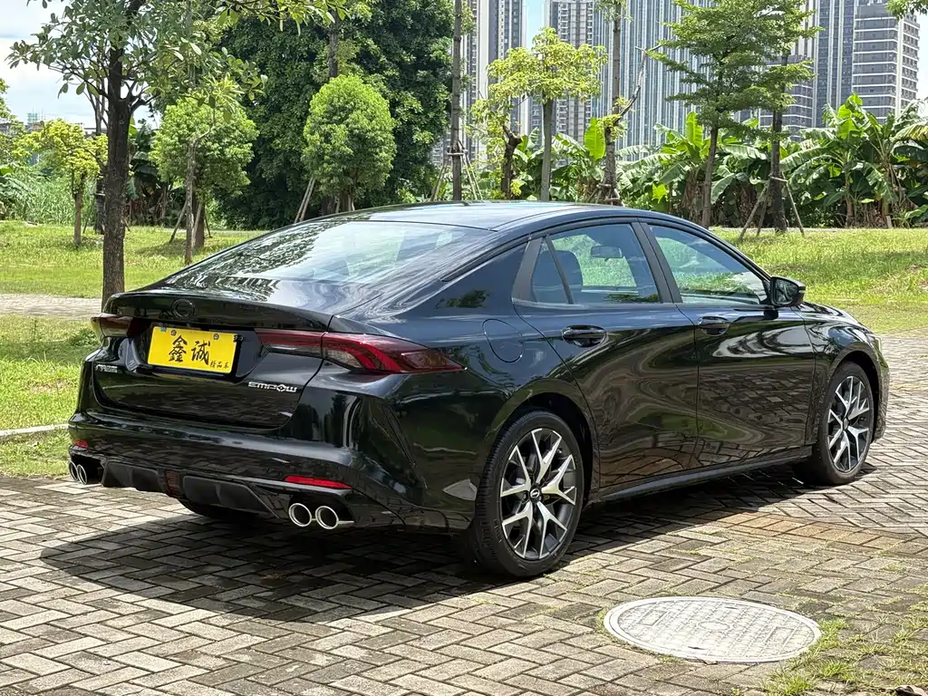 GAC Motor Shadow Leopard — фото 23