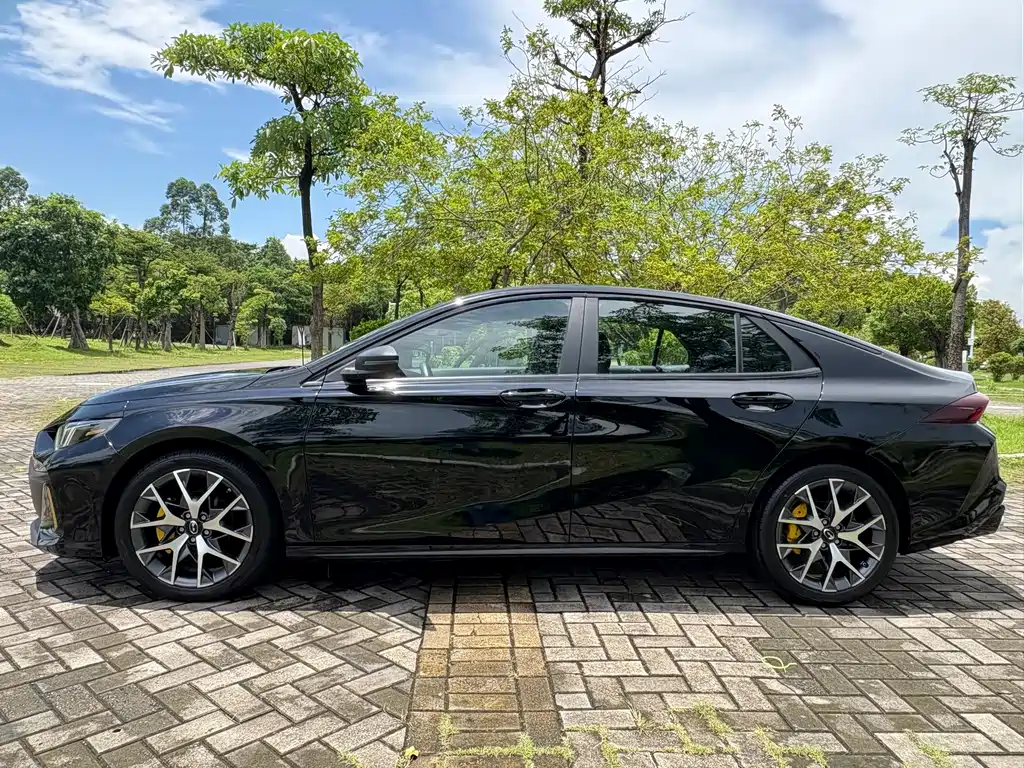 GAC Motor Shadow Leopard — фото 27