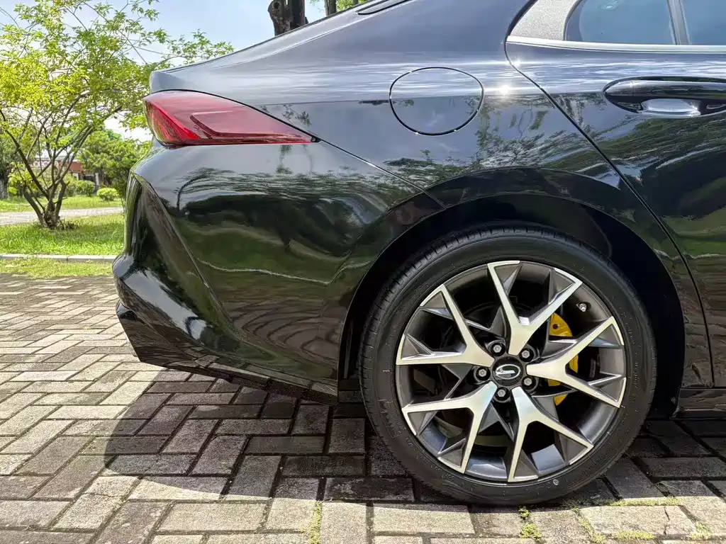 GAC Motor Shadow Leopard — фото 28