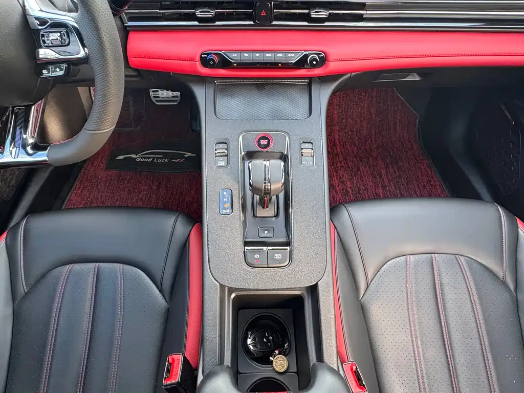 GAC Motor Shadow Leopard — фото 18