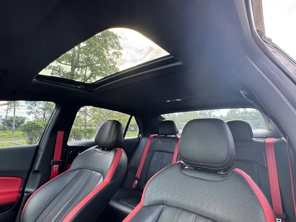 GAC Motor Shadow Leopard — фото 21