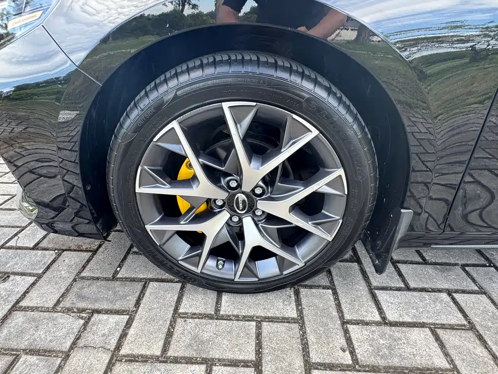 GAC Motor Shadow Leopard — фото 23