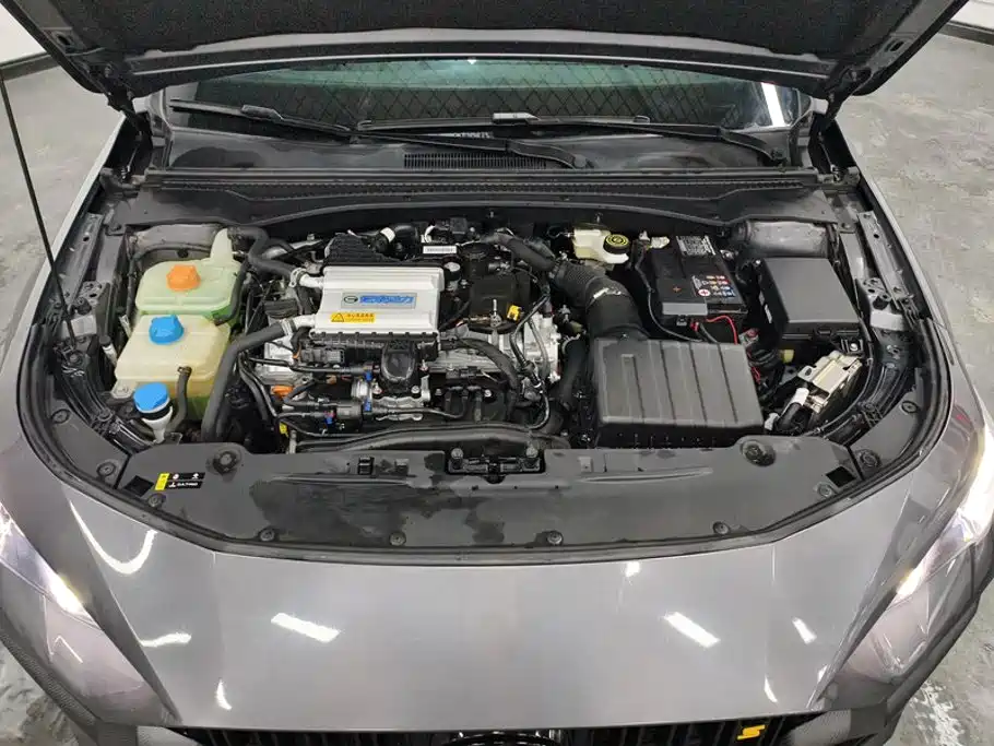 GAC Motor Shadow Leopard — фото 10