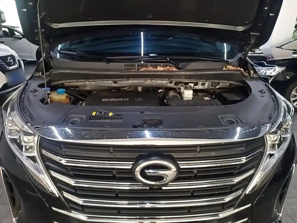 GAC Motor Trumpchi M8 — фото 20