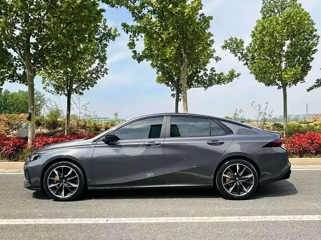 GAC Motor Shadow Leopard — фото 7