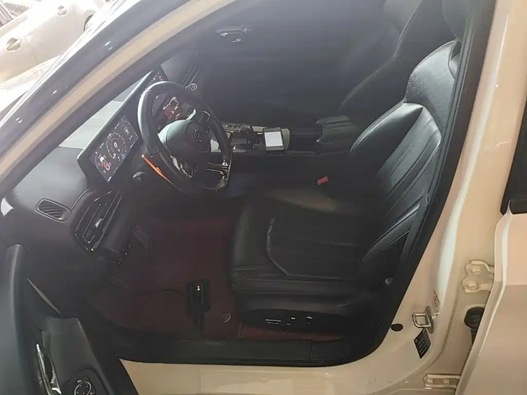 GAC Motor Shadow Leopard — фото 15