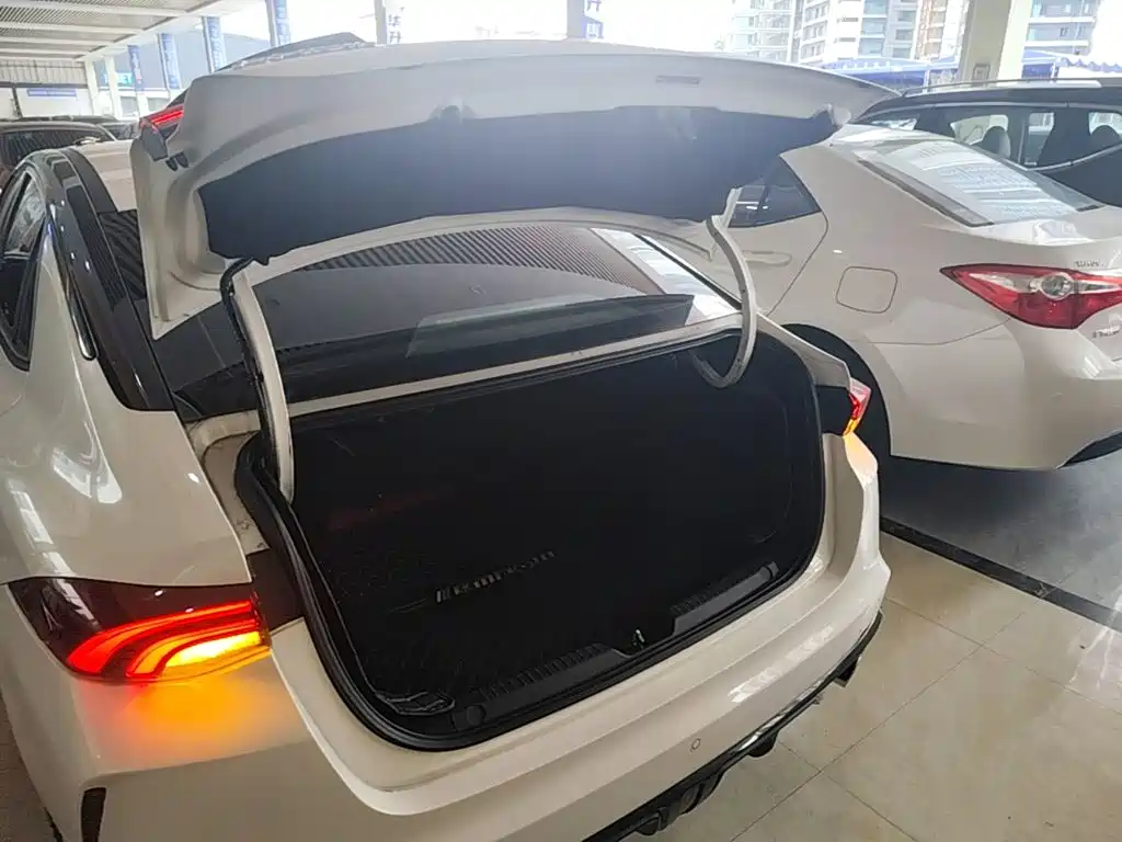 GAC Motor Shadow Leopard — фото 19