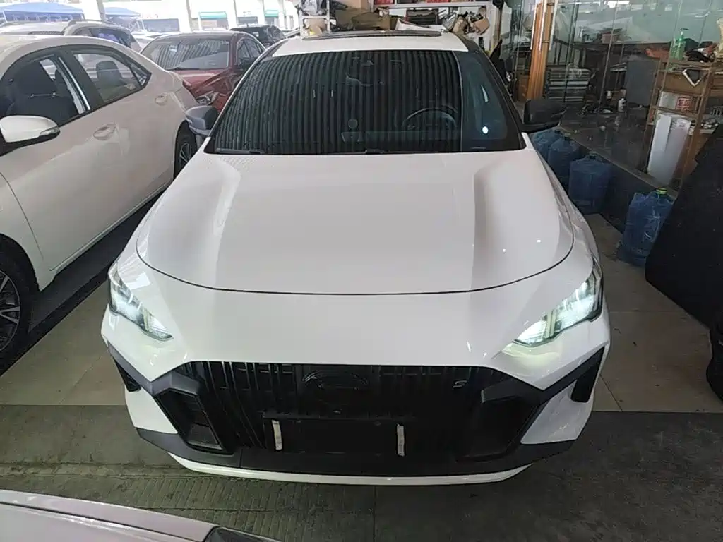 GAC Motor Shadow Leopard — фото 3