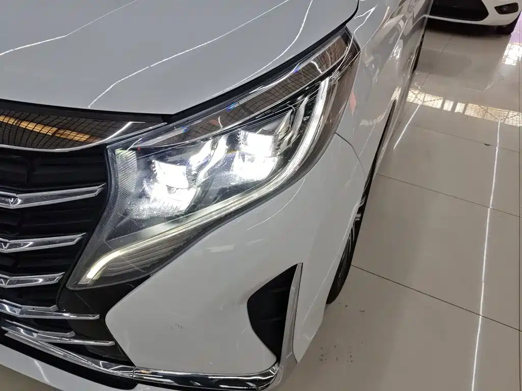 GAC Motor Trumpchi M8 — фото 19