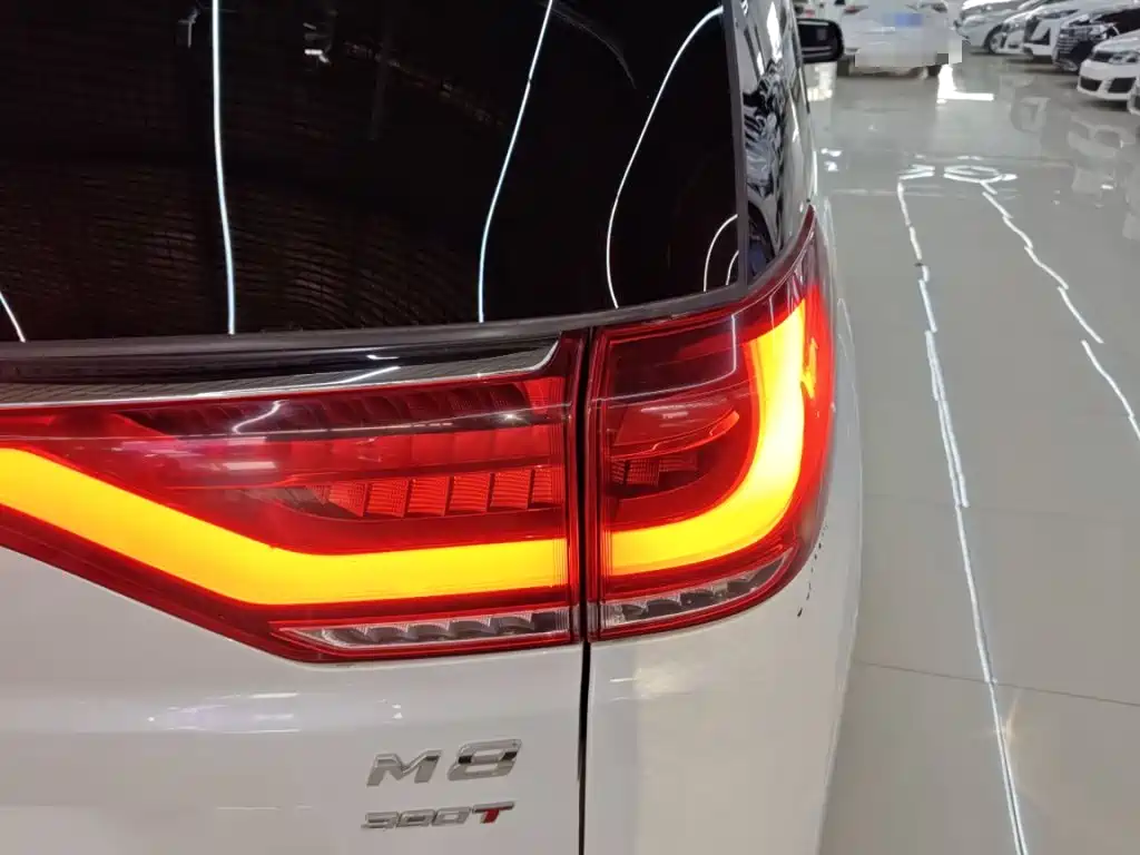 GAC Motor Trumpchi M8 — фото 24