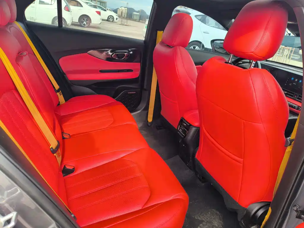 GAC Motor Shadow Leopard — фото 21