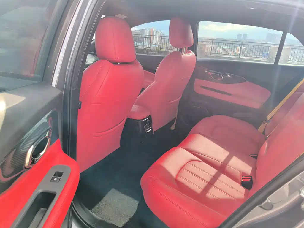 GAC Motor Shadow Leopard — фото 7