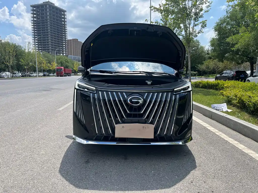 GAC Motor Trumpchi M8 — фото 17