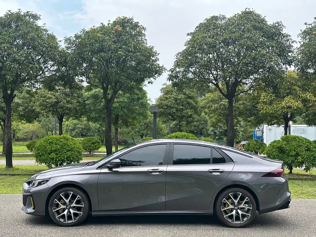 GAC Motor Shadow Leopard — фото 25