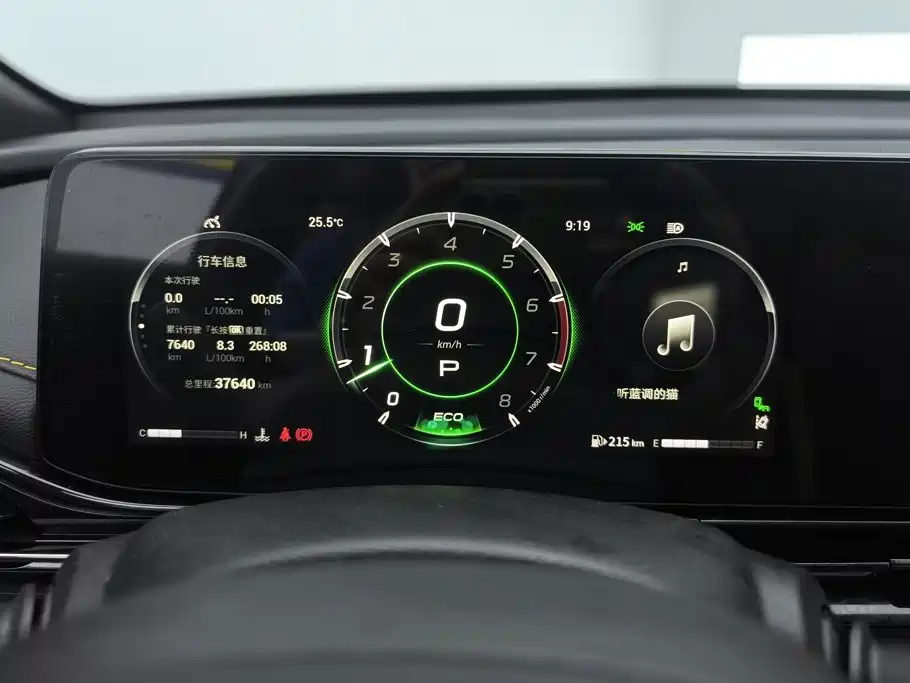 GAC Motor Shadow Leopard — фото 14