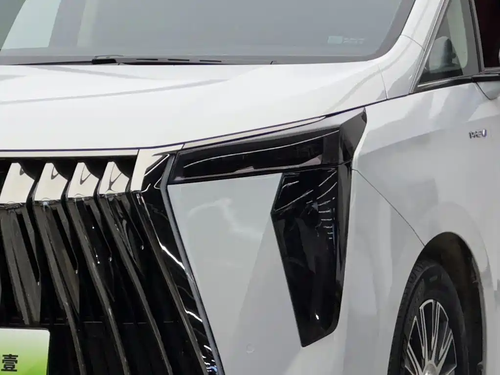 GAC Motor Trumpchi E9 — фото 3