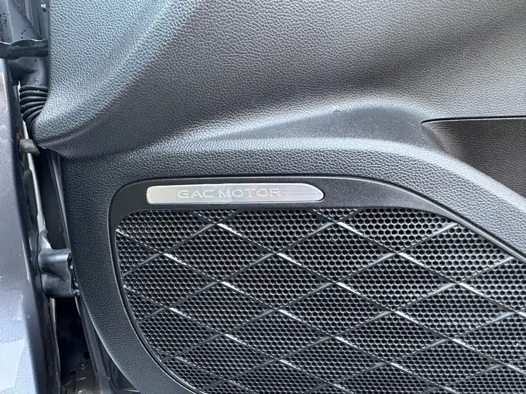 GAC Motor Shadow Leopard — фото 31