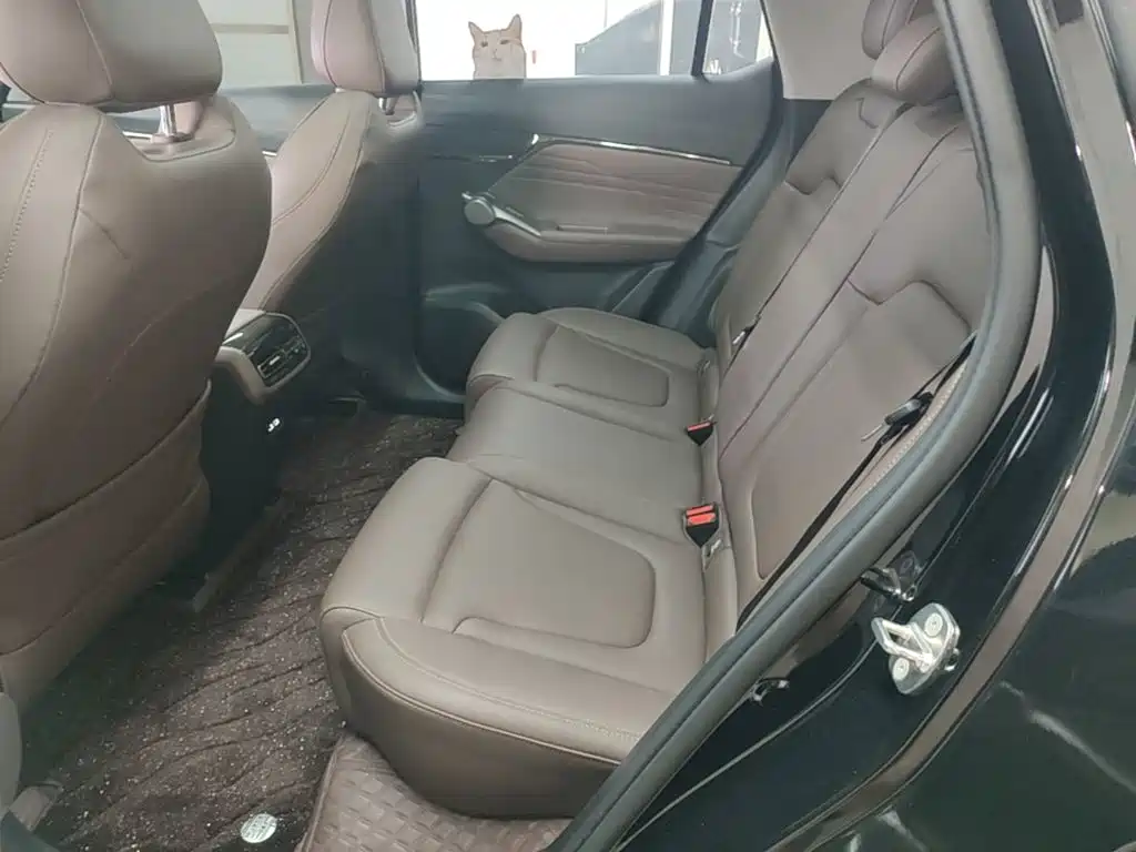 GAC Motor Trumpchi GS4 — фото 17